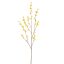 LARGE WINTERSWEET 125CM YELLOW