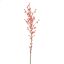 GIANT WINTERSWEET 150CM PINK