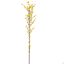 GIANT WINTERSWEET 150CM YELLOW
