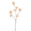 SMALL KANZAN BLOSSOM 85CM BEIGE