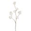 SMALL KANZAN BLOSSOM 85CM CREAM