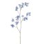 PEACH SPRAY 154CM BLUE