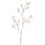 PEACH SPRAY 154CM WHITE