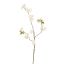 CHERRY BLOSSOM 86CM CREAM