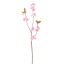 CHERRY BLOSSOM 86CM PINK