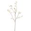 CHERRY BLOSSOM 120CM CREAM