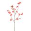 CHERRY BLOSSOM 120CM SALMON