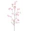 CHERRY BLOSSOM 164CM PINK