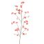 CHERRY BLOSSOM 164CM SALMON