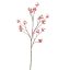 SAKORA 120CM BEAUTY