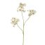 PEACH BLOSSOM 100CM CREAM