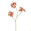 PEACH BLOSSOM 100CM PINK