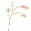 LARGE PEACH BLOSSOM 155CM SALMON