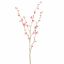 PEACH BLOSSOM 140CM BEAUTY