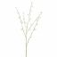 PEACH BLOSSOM 140CM CREAM