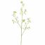 PEACH BLOSSOM 105CM CREAM