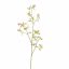 PEACH BLOSSOM 105CM PINK