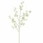 PEACH BLOSSOM 142CM CREAM