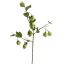 HOP FLOWER SPRAY 77CM GREEN