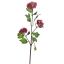 SNOWBALL SPRAY X3 50CM BURGUNDY