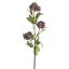 SNOWBALL SPRAY X3 50CM LILAC