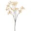 GYPSO SPRAY X10 70CM BEIGE