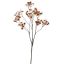 GYPSO SPRAY X10 BROWN