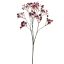 GYPSO SPRAY X10 70CM BURGUNDY