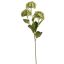 SNOWBALL X3 60CM GREEN