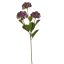 SNOWBALL X3 60CM PURPLE