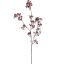 LARGE GYPSO SPRAY 106CM BURGUNDY