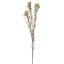 WAX FLOWER 78CM CREAM