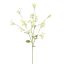 GYPSOPHYLE 75CM GREEN