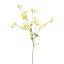 GYPSOPHYLE 75CM YELLOW