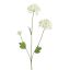 SNOWBALL 70CM CREAM