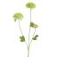 SNOWBALL 70CM GREEN
