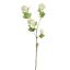 SNOWBALL 90CM CREAM