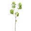 SNOWBALL 90CM GREEN
