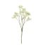 GYPSO SPRAY X10 70CM CREAM