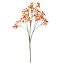 GYPSO SPRAY X10 70CM ORANGE