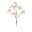GYPSO SPRAY X10 70CM PINK