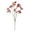 GYPSO SPRAY X10 70CM RED