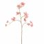 GIANT DILLE 140CM BEAUTY