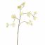 GIANT DILLE 140CM CREAM GREEN