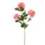 SNOWBALL 65CM BEAUTY