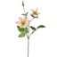 CLEMATIS SPRAY 65CM PINK