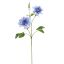 CLEMATIS DIAMANTINA 70CM BLUE