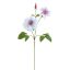 CLEMATIS DIAMANTINA 70CM LILA