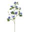 CLEMATIS DIAMANTINA 115CM BLUE