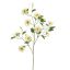 CLEMATIS DIAMANTINA 115CM GREEN